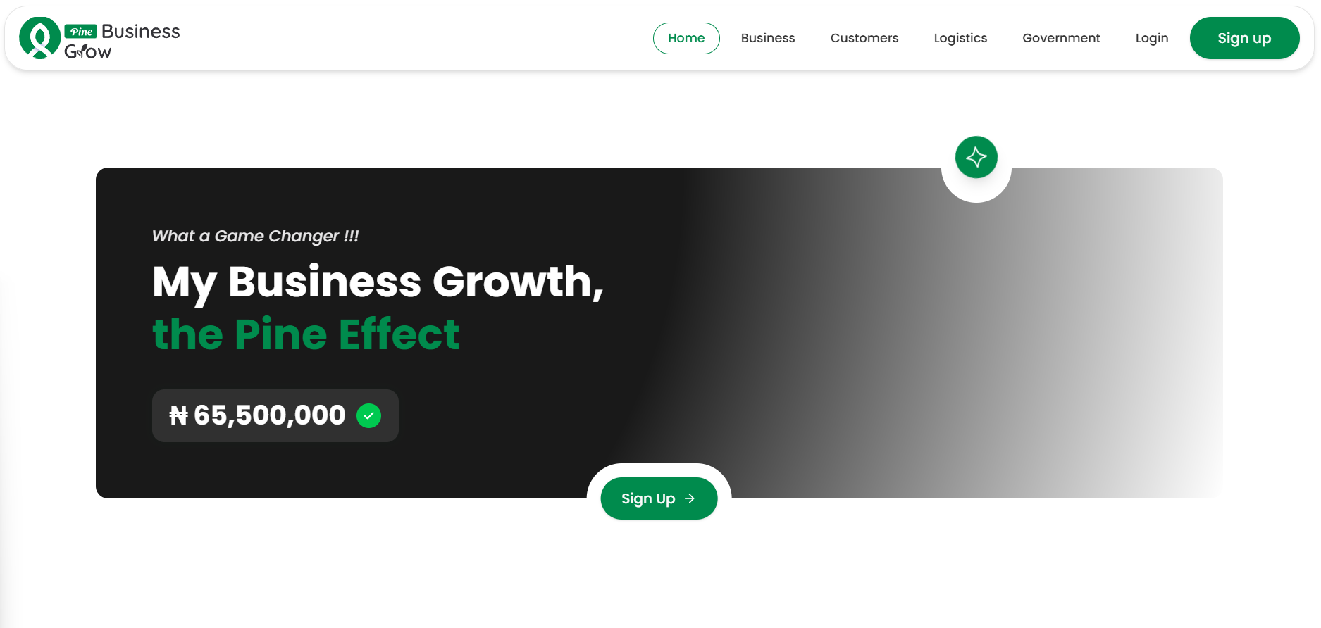 Pine Business Grow ecosystem platform landing page